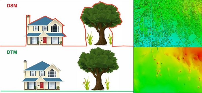DSM/DTM